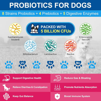 Vitaminas En Polvo Para Perros Probióticos Enzimas Digestivas Salud Articulaciones Piel