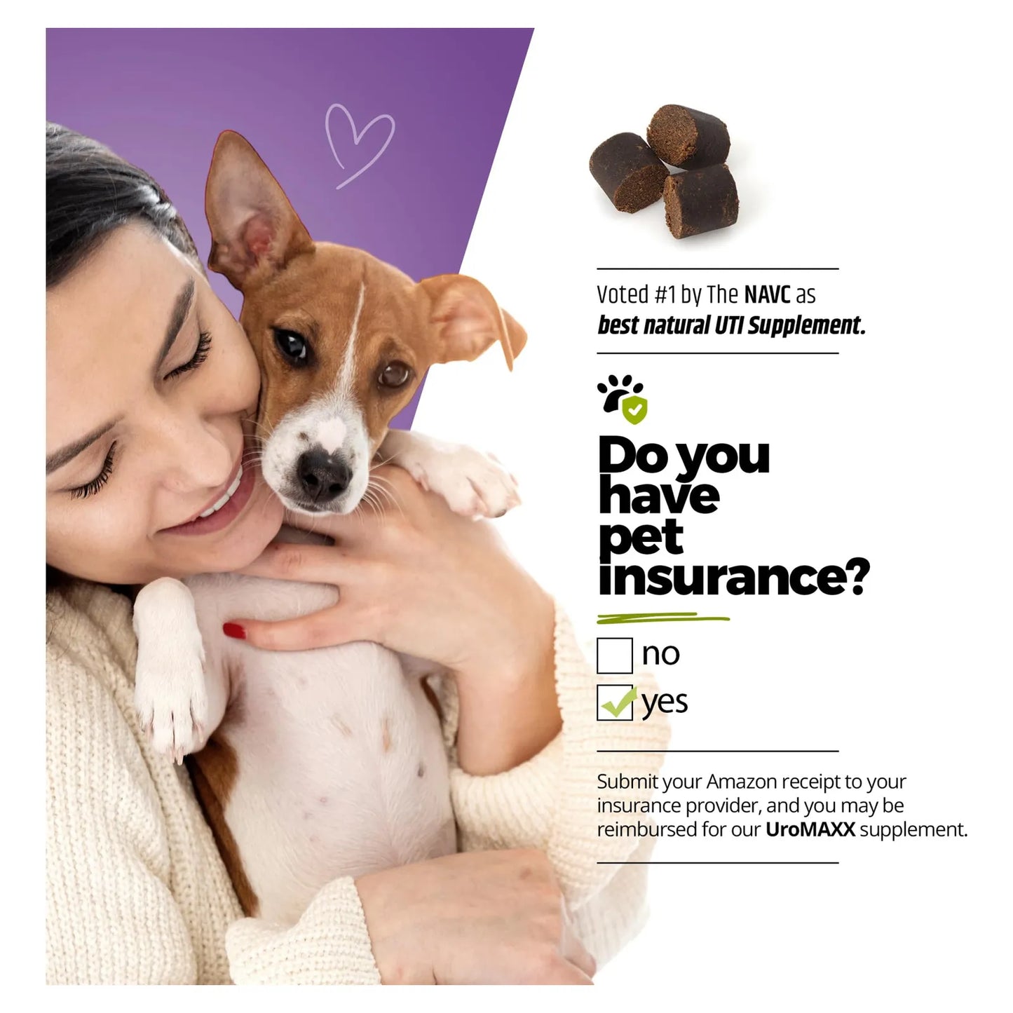 Tratamiento Natural Para Infecciones Urinarias En Perros Con Extracto De Arándano Y Vitamina C