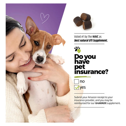 Tratamiento Natural Para Infecciones Urinarias En Perros Con Extracto De Arándano Y Vitamina C