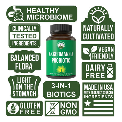 Probiótico Akkermansia Muciniphila Para Salud Intestinal Y Producción De GLP-1