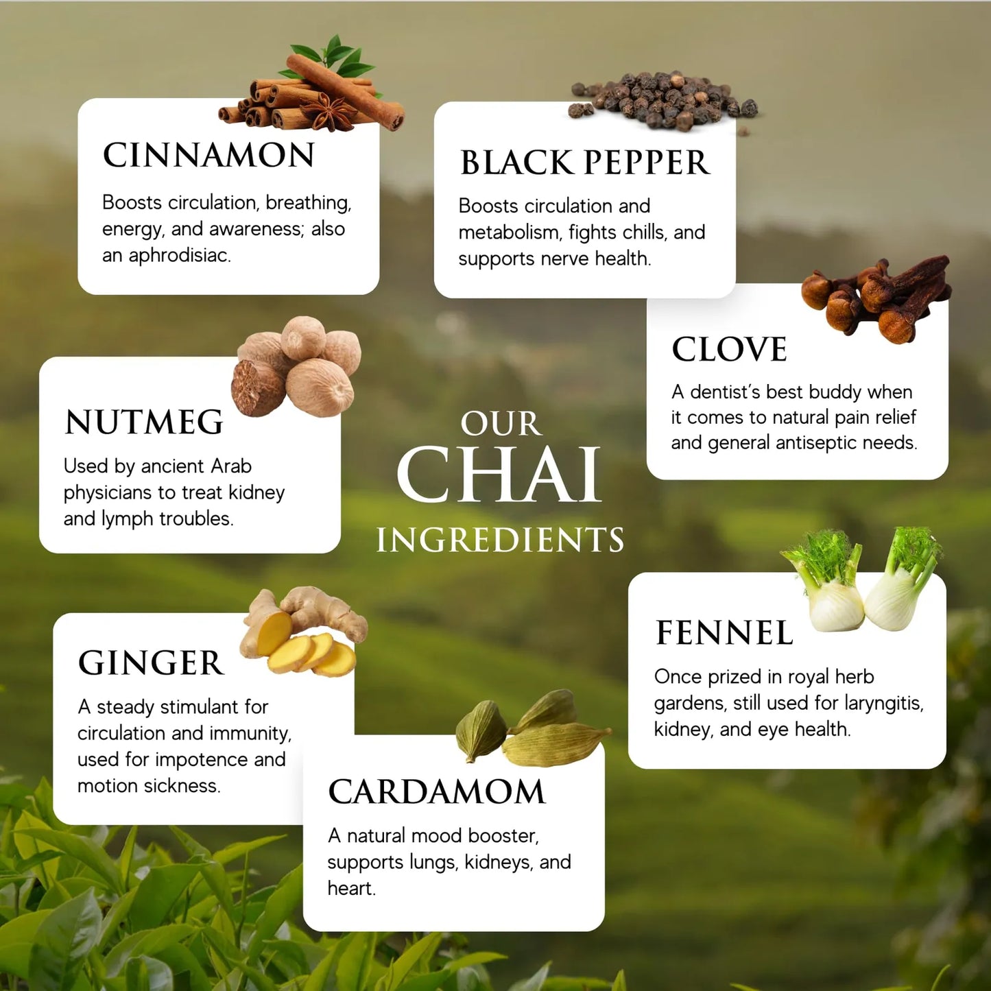 Chai De Jengibre Dragon Tongue 32 Onzas Paquete De 6 Botellas Orgánico Sin Gluten