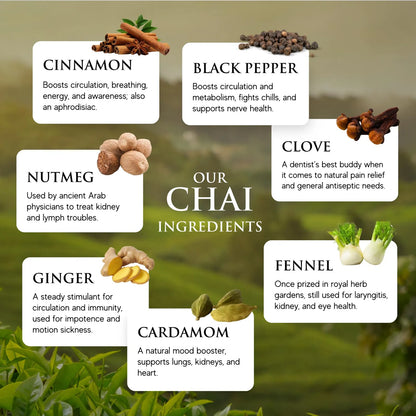 Chai De Jengibre Dragon Tongue 32 Onzas Paquete De 6 Botellas Orgánico Sin Gluten
