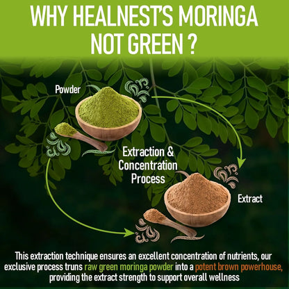 Capsulas Extracto Moringa Pura 20 A 1 20000 Mg Vitaminas Minerales Vegano