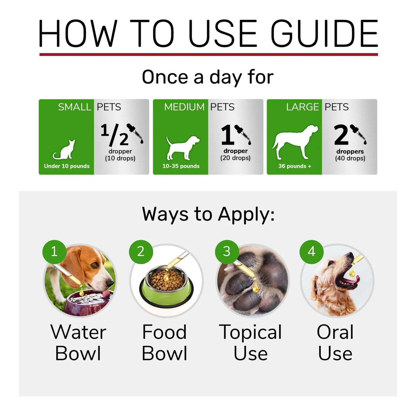 Tratamiento Para Infecciones Urinarias En Gatos Y Perros Alivia El Dolor Rapido Y Efectivo