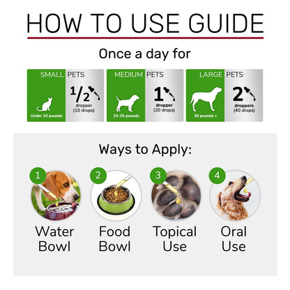 Tratamiento Para Infecciones Urinarias En Gatos Y Perros Alivia El Dolor Rapido Y Efectivo