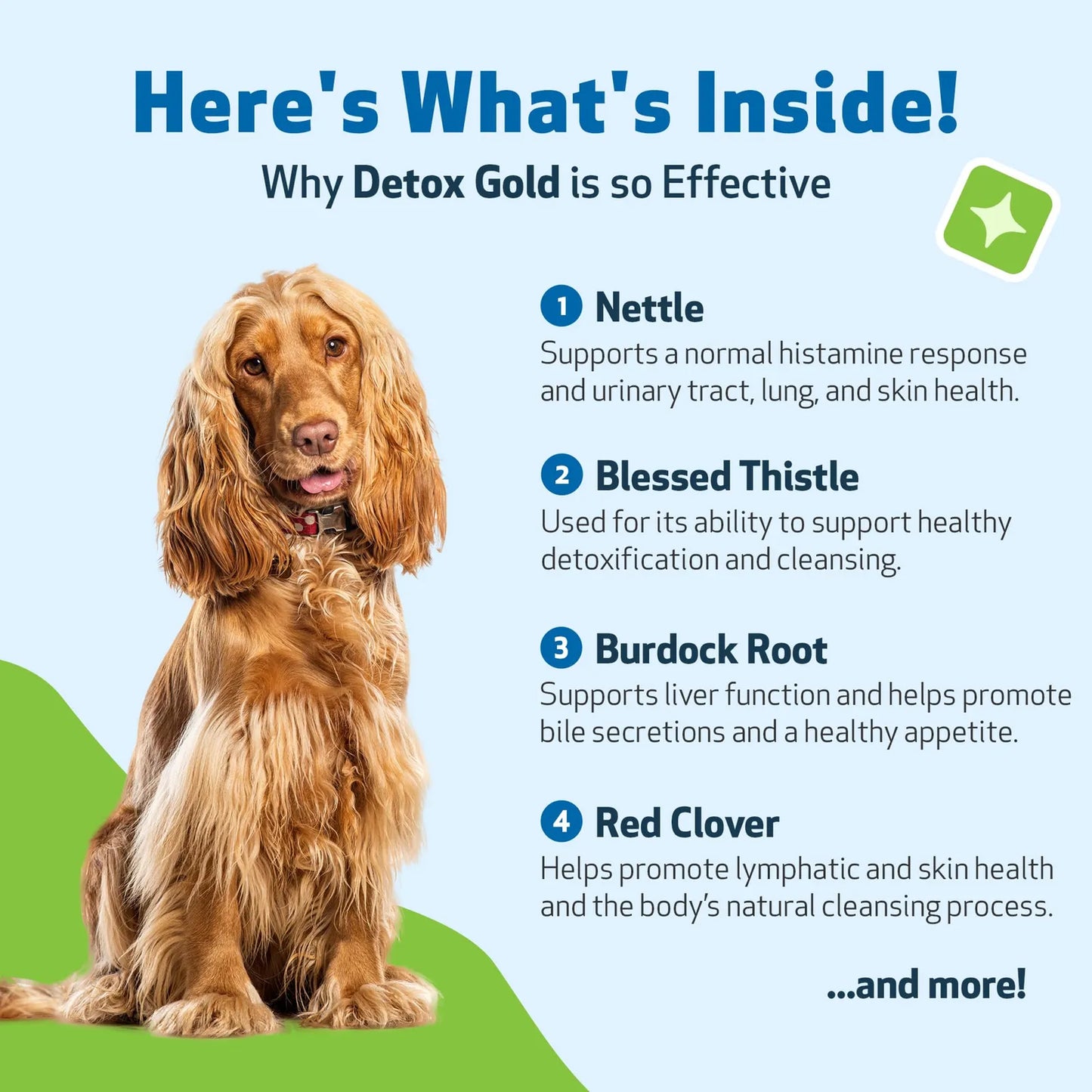 Detox Gold Para Perros Suplemento Natural Desintoxicante Y Fortalecedor Inmunologico