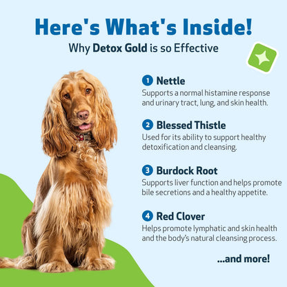 Detox Gold Para Perros Suplemento Natural Desintoxicante Y Fortalecedor Inmunologico