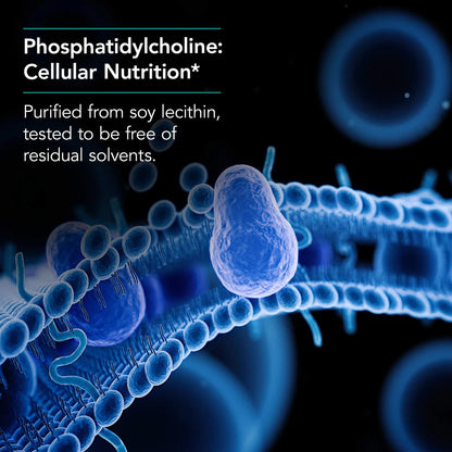 Cápsulas De Lecitina Con Fosfatidilcolina Y Enzimas Digestivas Soporte Hepático Y Mental