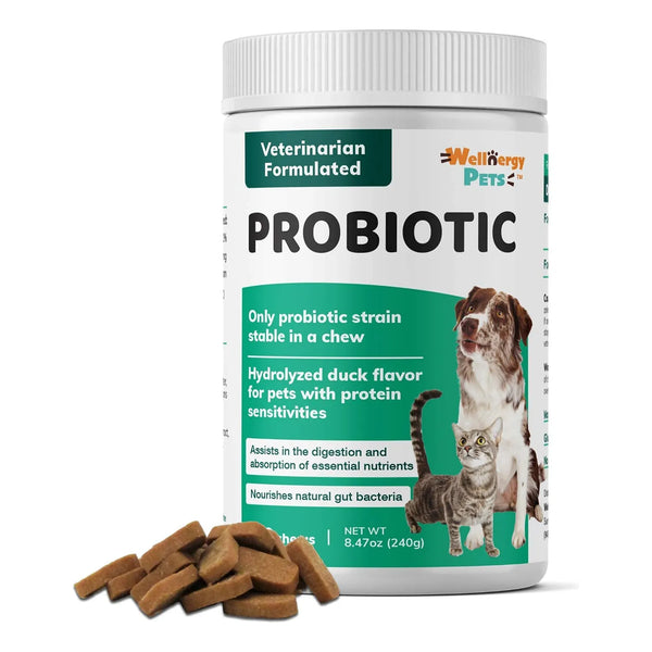 Wellnergy Probióticos Masticables Para Perros Y Gatos Apoyo Digestivo E Inmunológico