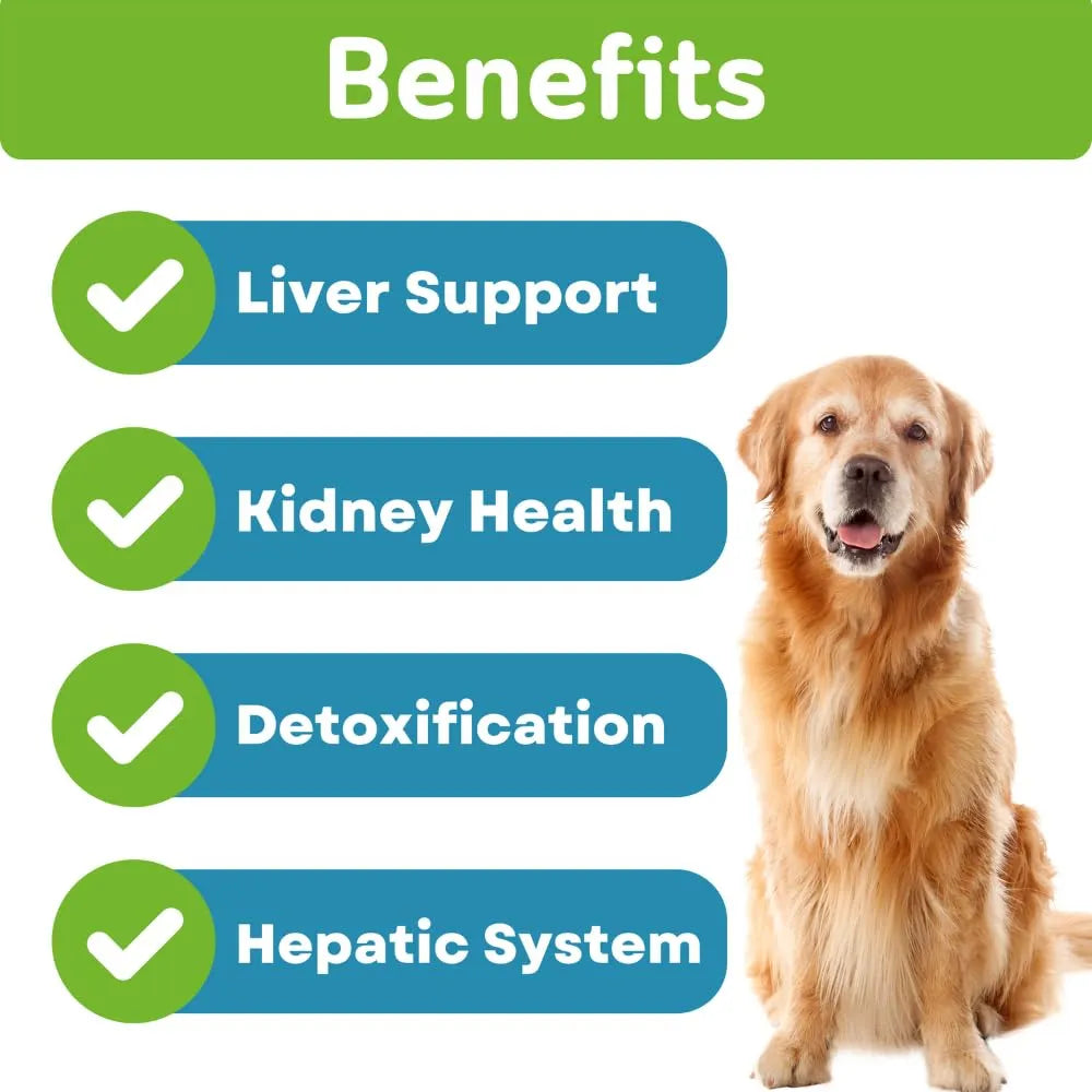 Masticables Naturales De Cardo Mariano Para Perros Con Aceite De Salmon Y Curcumina Soporte Hepatico Y Renal