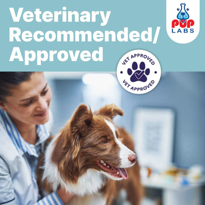 Probióticos Esenciales Para Perros Salud Intestinal Y Bienestar