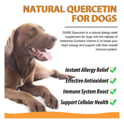 Gotas Líquidas De Quercetina Para Perros Alivio Alergias Refuerzo Inmunológico