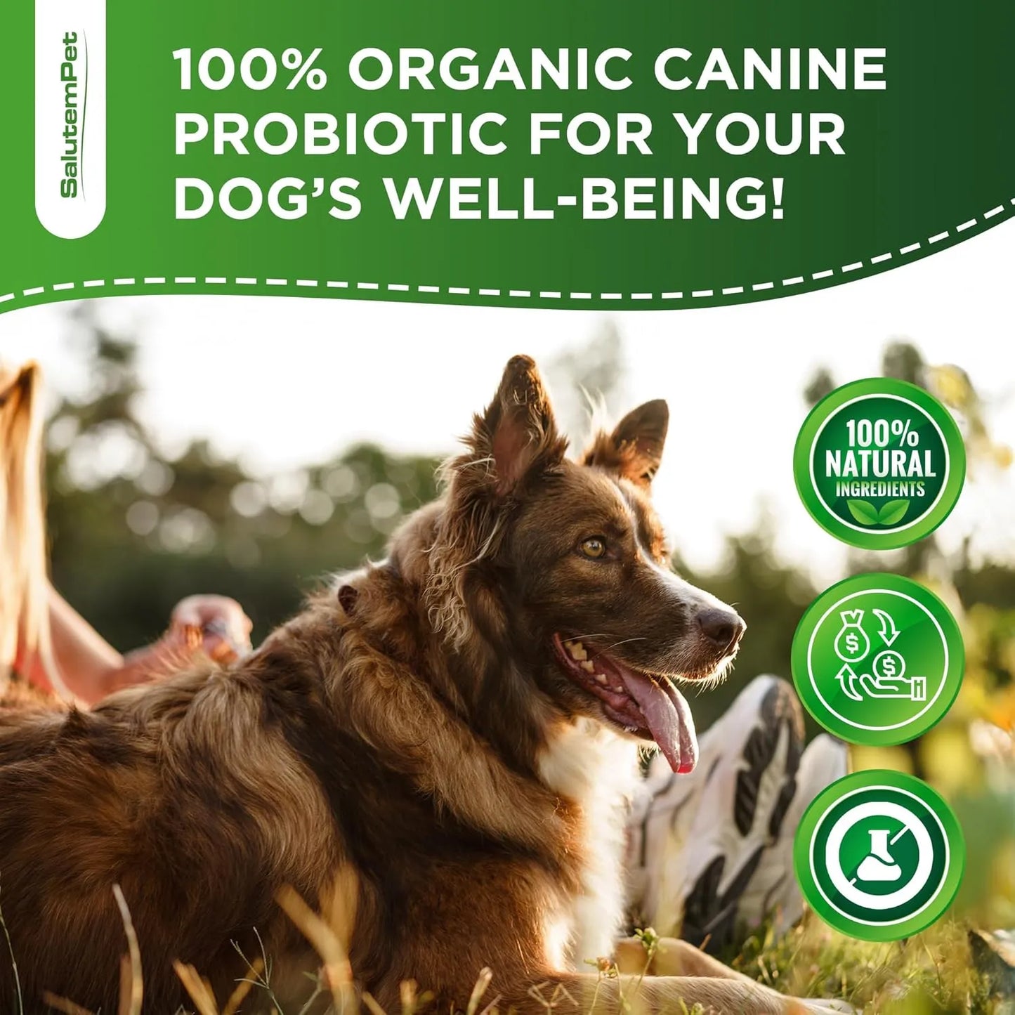 Probióticos Líquidos Para Perros Con Prebióticos Y Enzimas Digestivas 2 Onzas