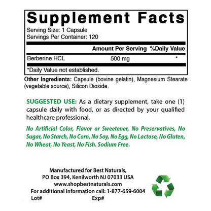 Berberina 500 Mg Best Naturals 240 Capsulas Soporte Inmunologico Cardiovascular