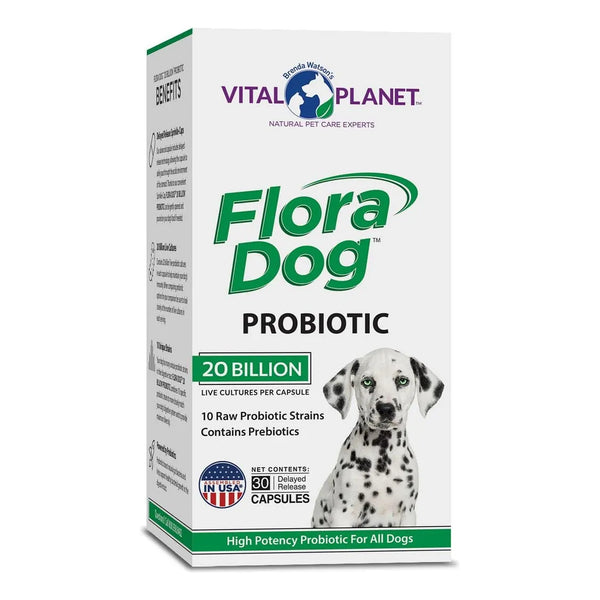 Cápsulas Probióticas Flora Dog 20 Mil Millones Cultivos 10 Cepas Para Perros