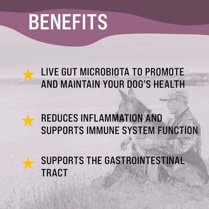 FloraPup Probiótico Para Perros Salud Intestinal Y Sistema Inmune 30 Unidades