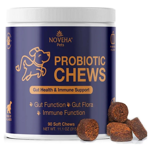 Masticables Probióticos Para Perros Salud Intestinal Apoyo Digestivo