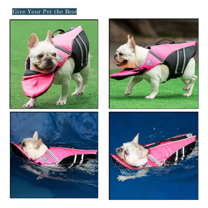 Chaleco Salvavidas Profesional Para Bulldog Francés Flotabilidad Superior Y Asa De Rescate
