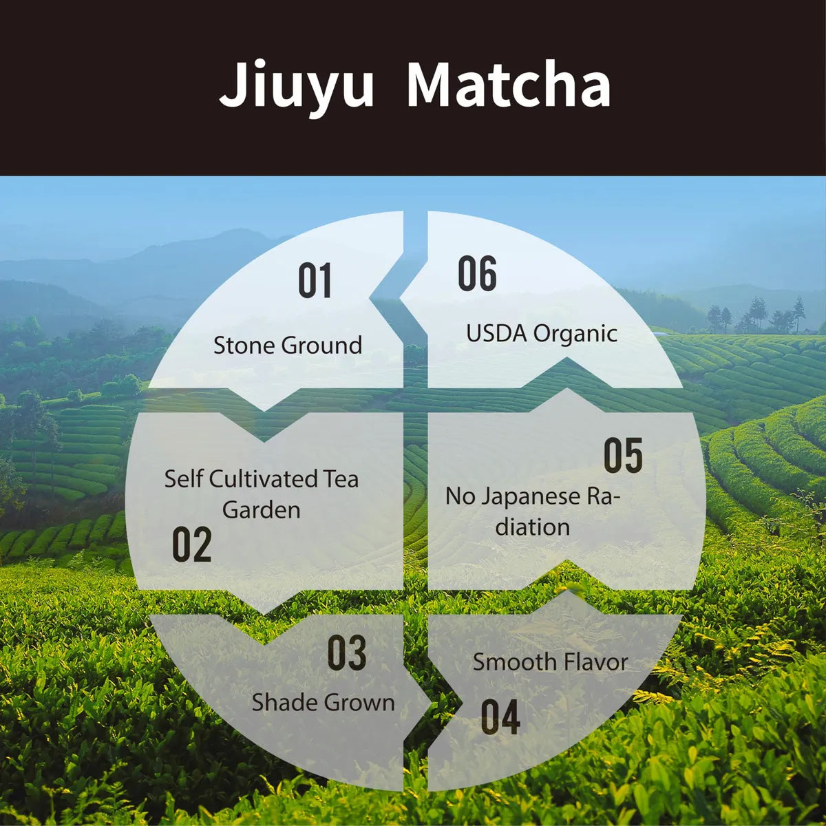 Té Verde Matcha Orgánico En Polvo Grado Ceremonial 100 Puro Energía Natural