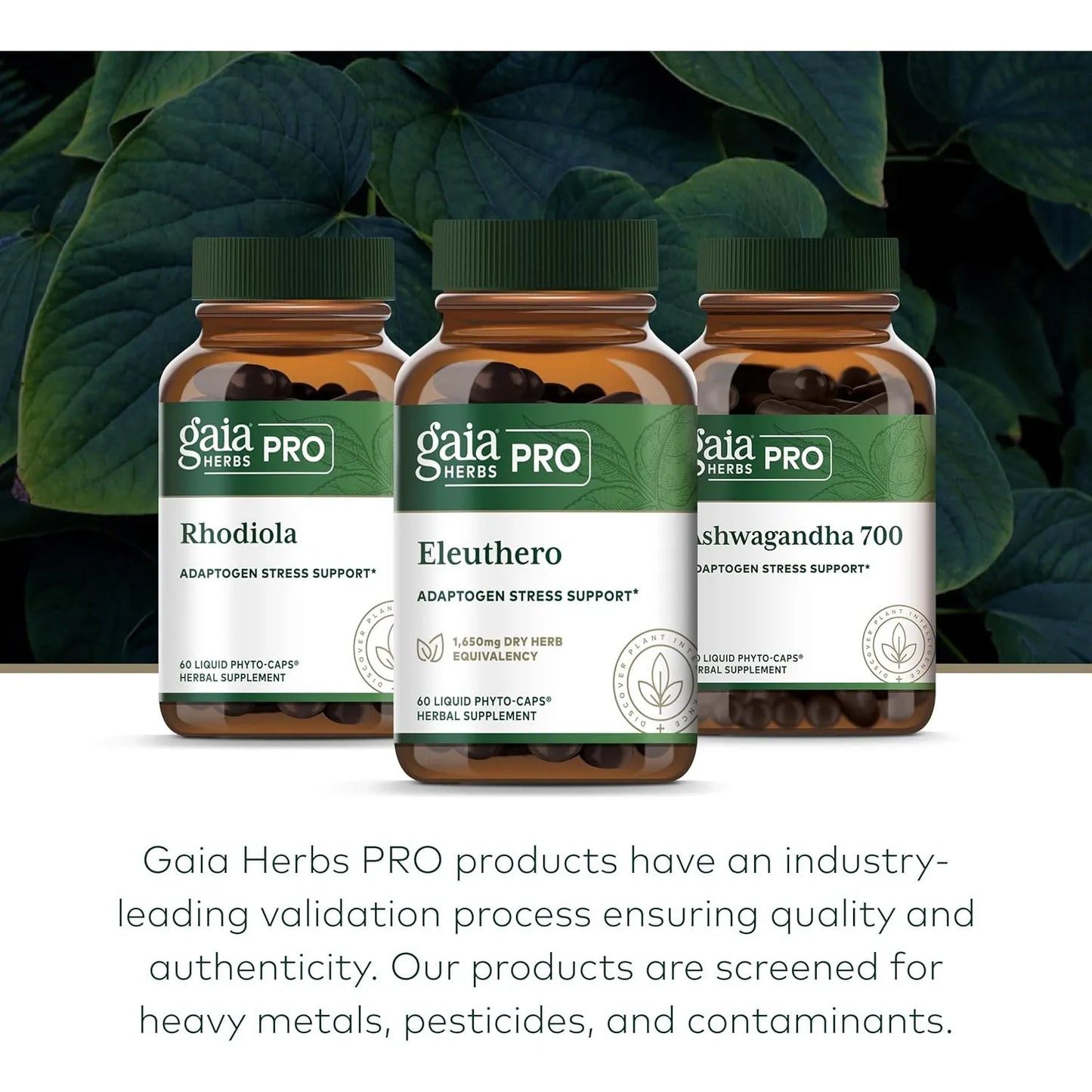 Cápsulas De Raíz De Eleuterococo Gaia Herbs PRO Energía Natural Y Resistencia Al Estrés 60 Fito Cápsulas