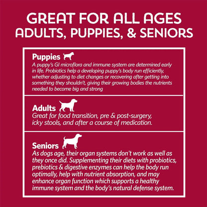 Probiótico Para Perros Fidobiotics Smooth Move Salud Intestinal 7 Días