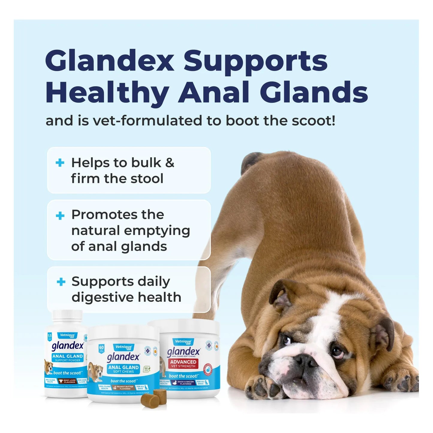 Glandex Golosinas Masticables Para Glándula Anal Con Calabaza Perros 60ct