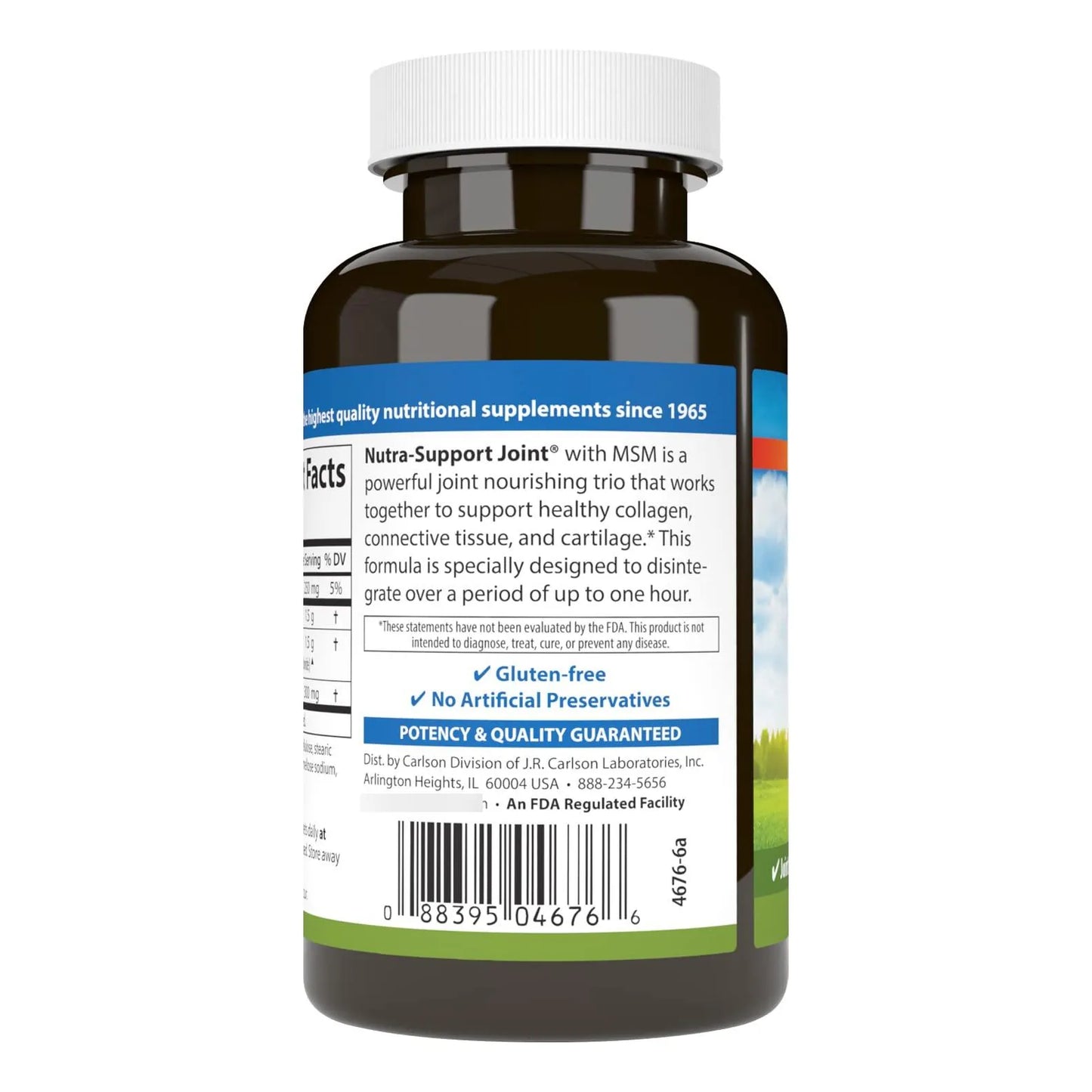 Nutra Support Glucosamina Condroitina MSM 60 Tabletas Soporte Articular