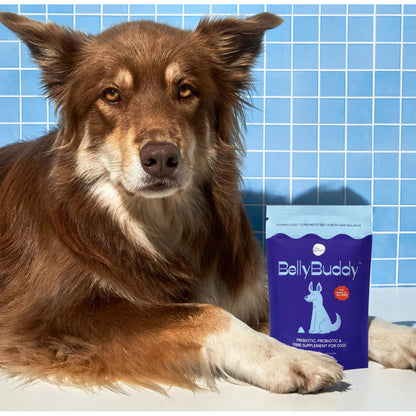 BellyBuddy Suplemento Prebiótico Probiótico Y Fibra 3 En 1 Para Perros Salud Intestinal