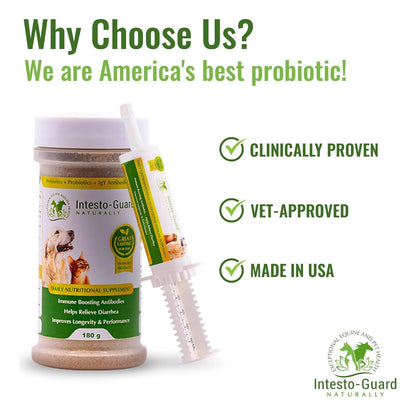 Probiótico En Polvo Para Perros Y Gatos Intesto Guard Apoyo Inmunológico Y Digestivo