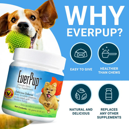 Multivitamínico Para Perros Con Glucosamina Probióticos Prebióticos Salud Articulaciones Digestión