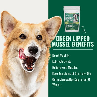 Mejillon De Labios Verdes Antiinflamatorio En Polvo Para Perros Alivia Dolor Articular