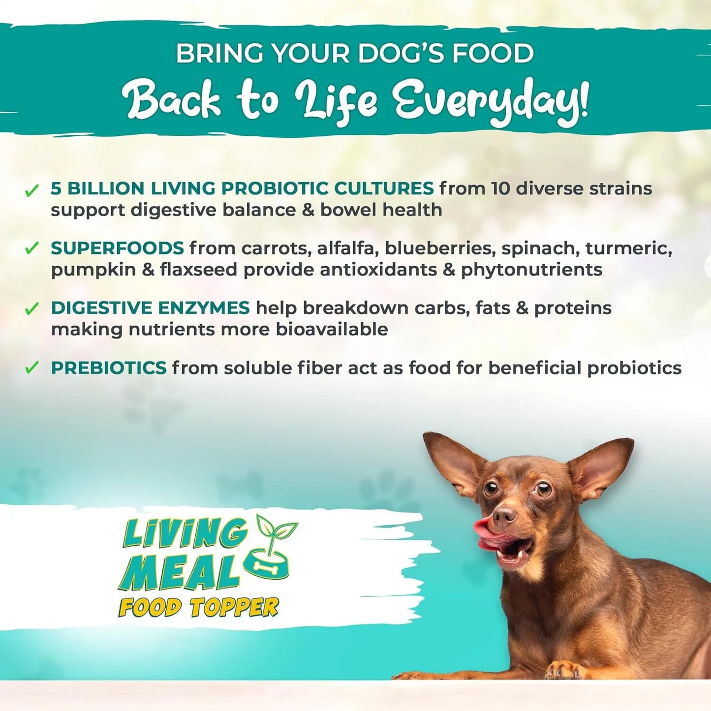 Polvo Para Perros Con Enzimas Probióticos Y Superalimentos Vital Planet 3.92 Oz Nutrición Premium