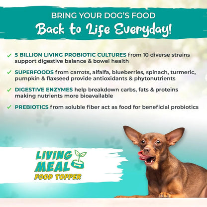 Polvo Para Perros Con Enzimas Probióticos Y Superalimentos Vital Planet 3.92 Oz Nutrición Premium