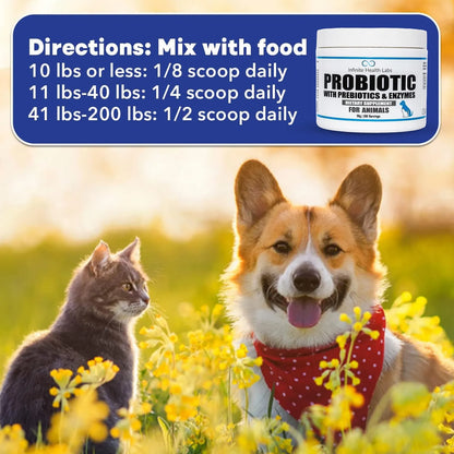 Probióticos En Polvo Para Perros Y Gatos Formulados Por Veterinarios Salud Digestiva E Inmunológica