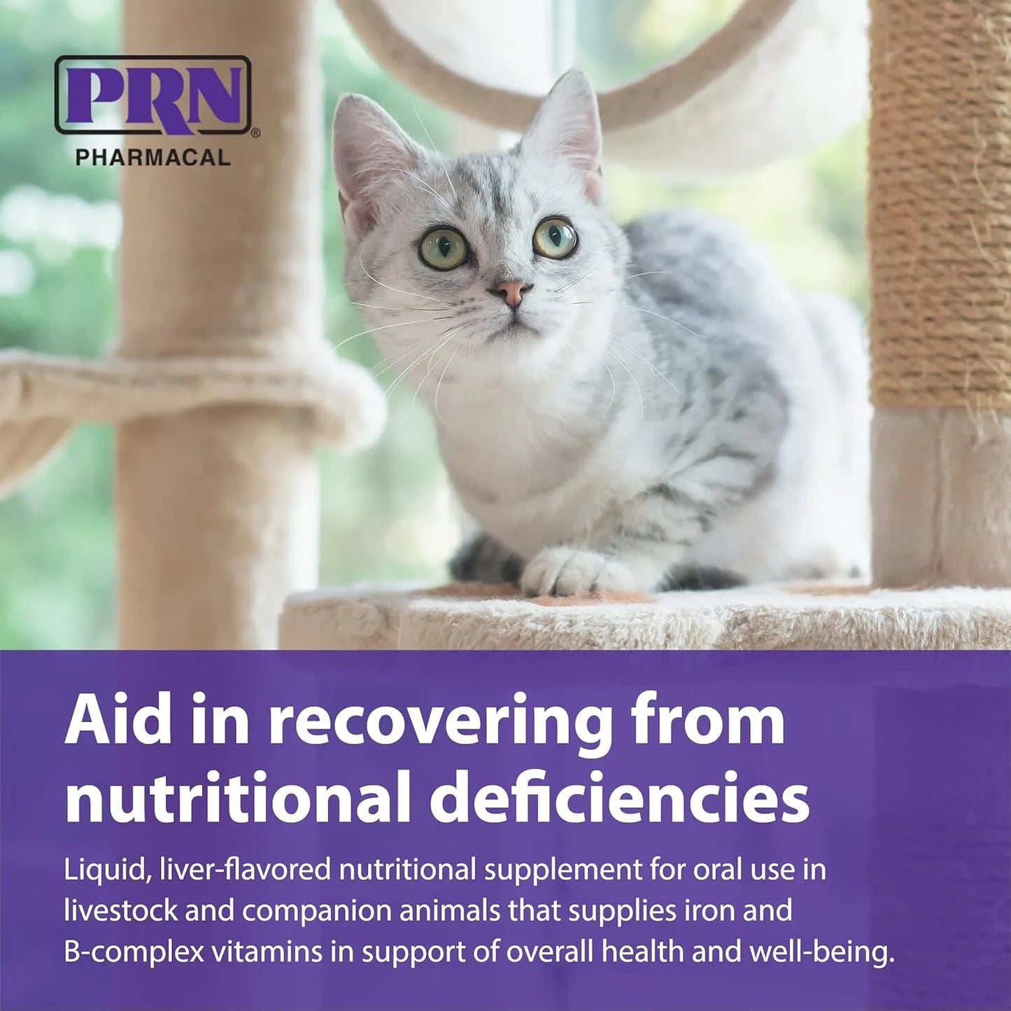 Suplemento Liquido De Hierro Y Vitaminas Para Mascotas PRN Pharmacal Liqui Tonic 4X Sabor Higado 2 Oz
