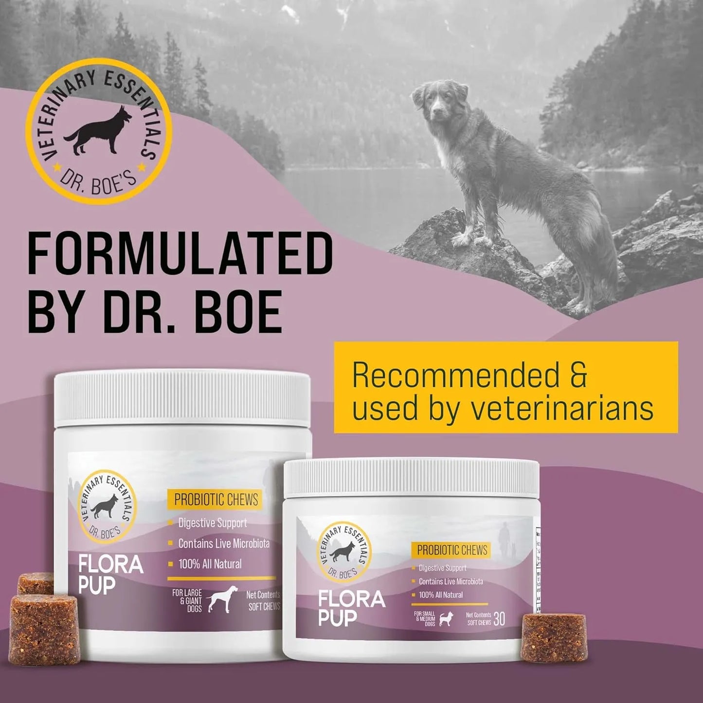 FloraPup Probiótico Para Perros Salud Intestinal Y Sistema Inmune 30 Unidades