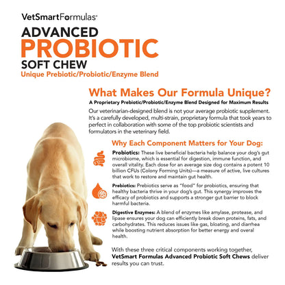 Masticables Blandos Probióticos Avanzados Para Perros Con 10 Mil Millones De UFC