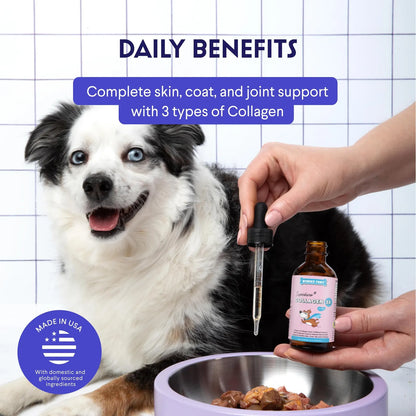 Colágeno Líquido Premium Para Perros Con Ácido Hialurónico Soporte Articulaciones Y Piel