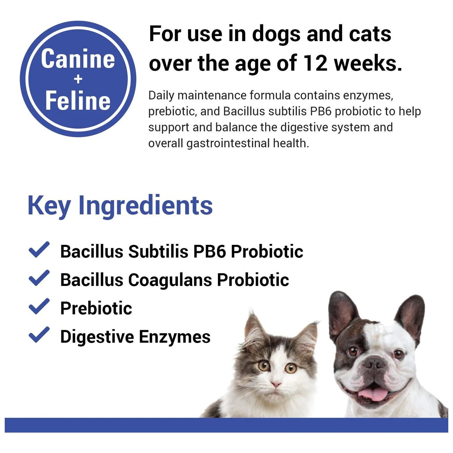 Protegrity Ez Probióticos Salud Digestiva Perros Gatos Enzimas Naturales
