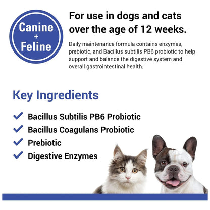Protegrity Ez Probióticos Salud Digestiva Perros Gatos Enzimas Naturales