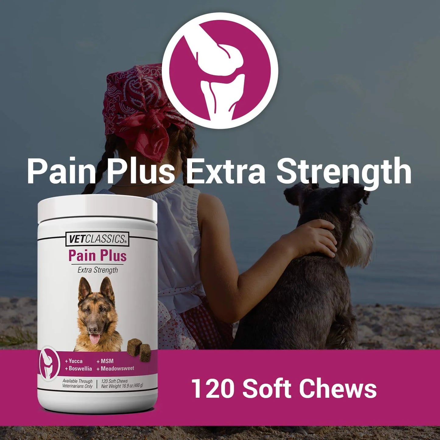 Suplemento Pain Plus Para Perros 120 Masticables Alivia Dolor Articular