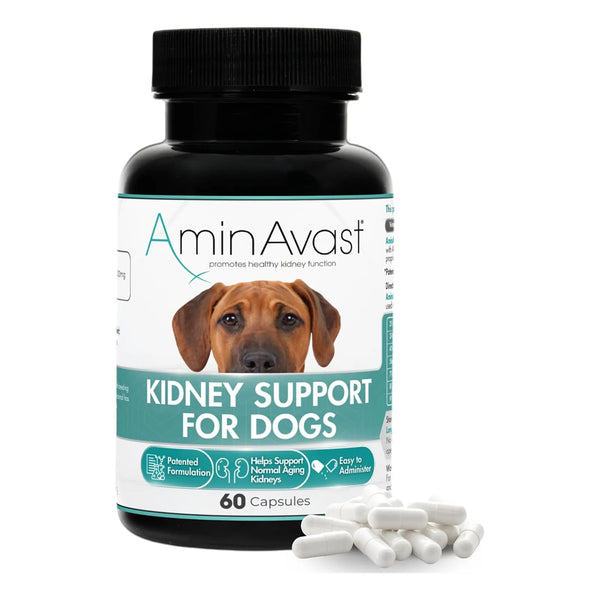 Capsulas AminAvast 1000 Mg Para Riñones De Perros Y Gatos Funcion Renal