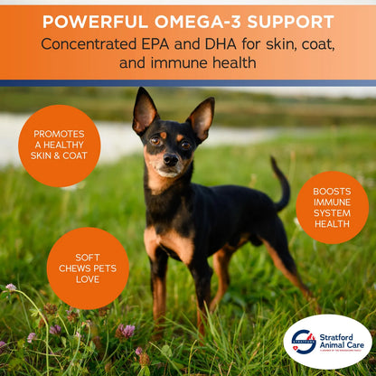 Golosinas Masticables Omega 3 Para Perros Pequeños Con Aceite De Pescado 60 Unidades
