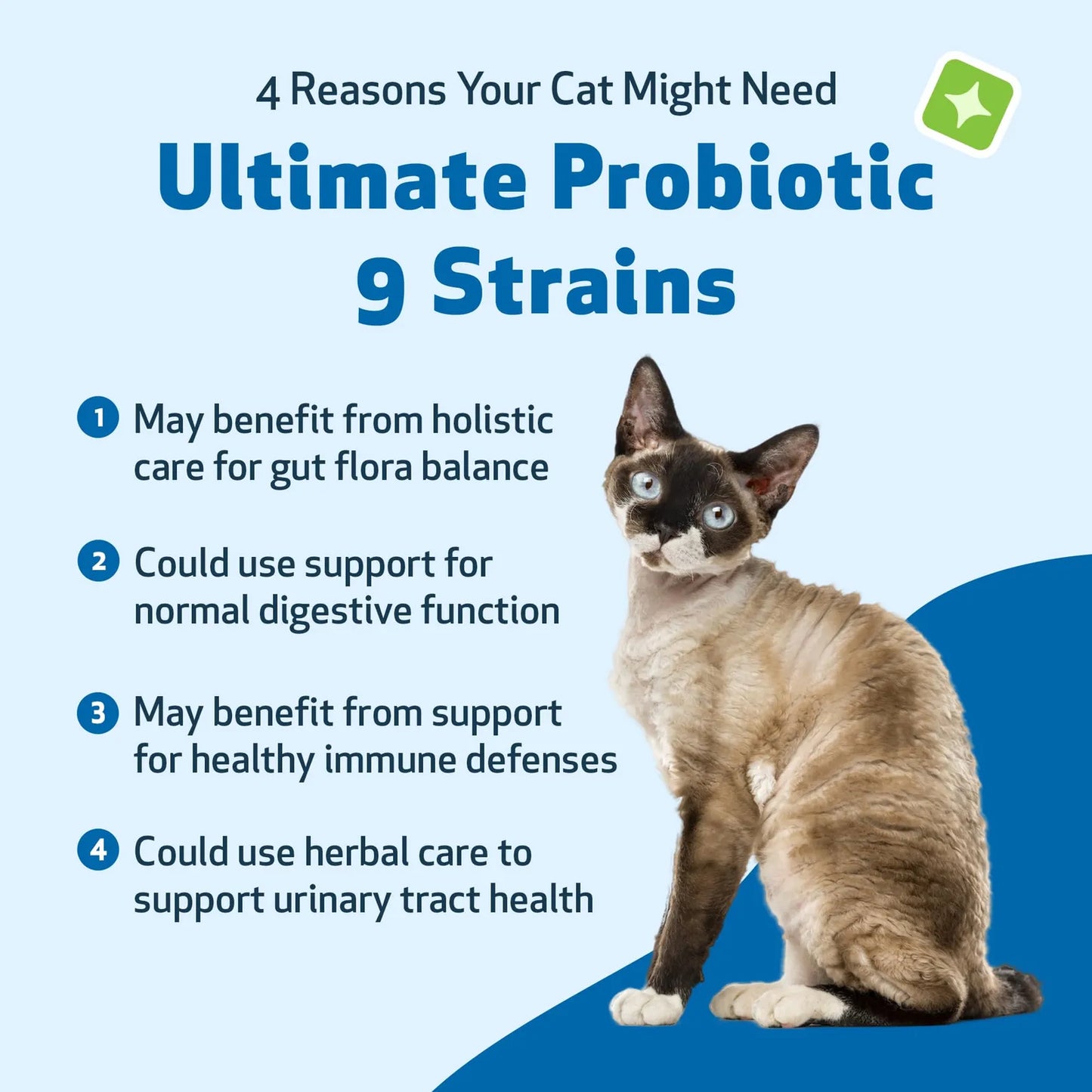 Probióticos Avanzados Para Gatos 9 Cepas Con Prebióticos Salud Intestinal E Inmunidad