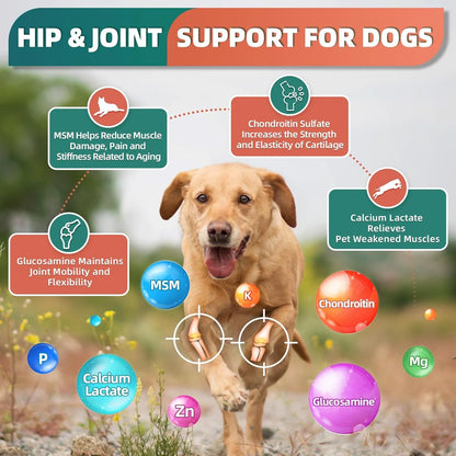 Multivitamínico Perro Glucosamina Omega 3 Minerales Probióti