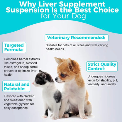 Suspensión Herbal Apoyo Hepático Para Gatos Y Perros 30 Ml Desintoxica Y Revitaliza