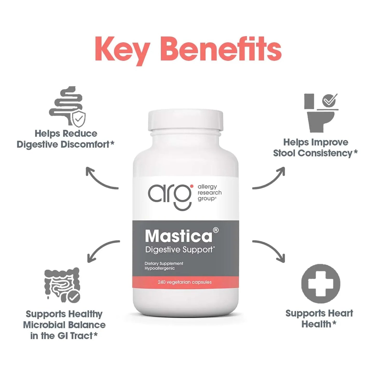 Mastica De Quios Hipoalergenica 240 Capsulas Salud Gastrointestinal Allergy Research Group