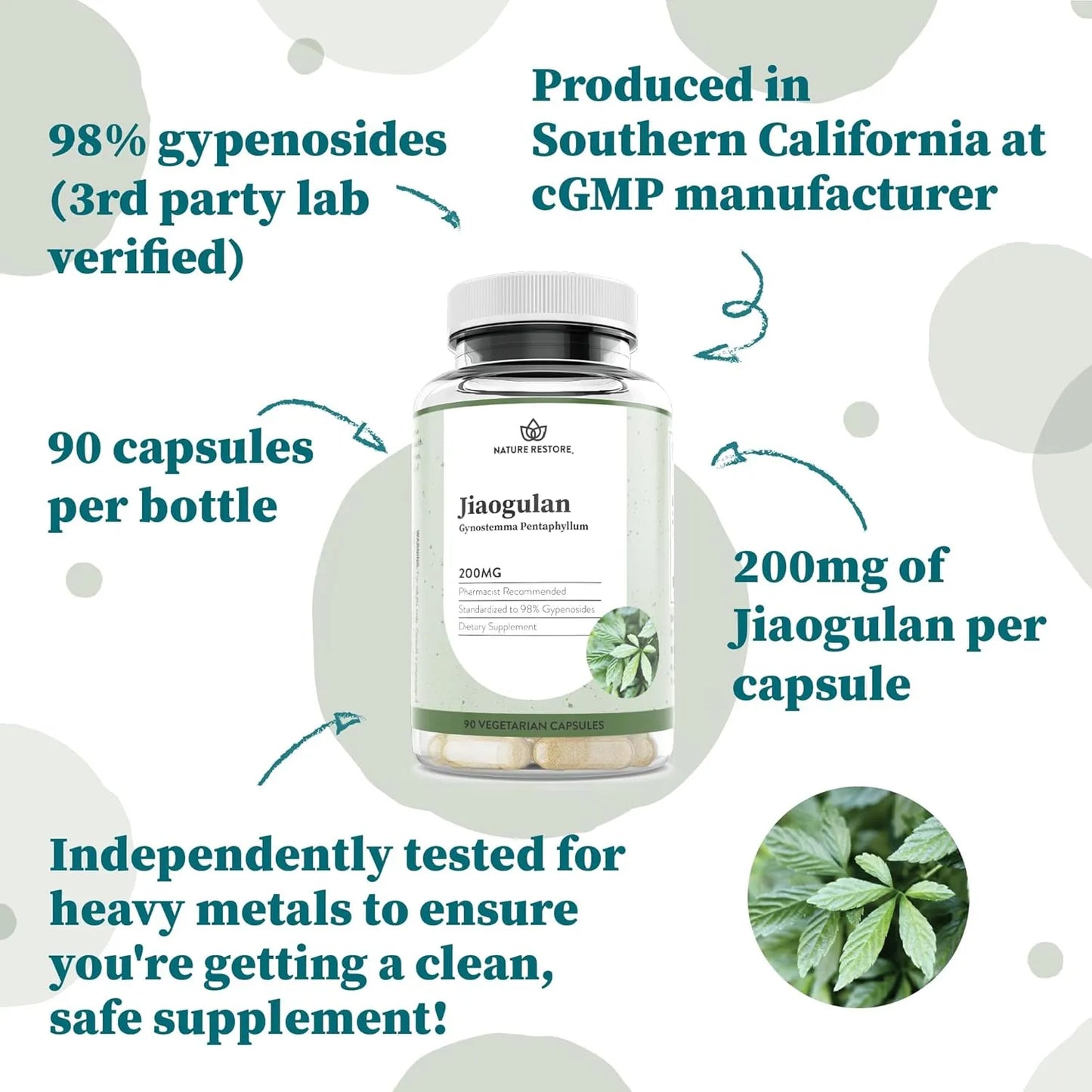 Extracto De Jiaogulan 98 Gypenosides Activador Natural De AMPK 90 Cápsulas