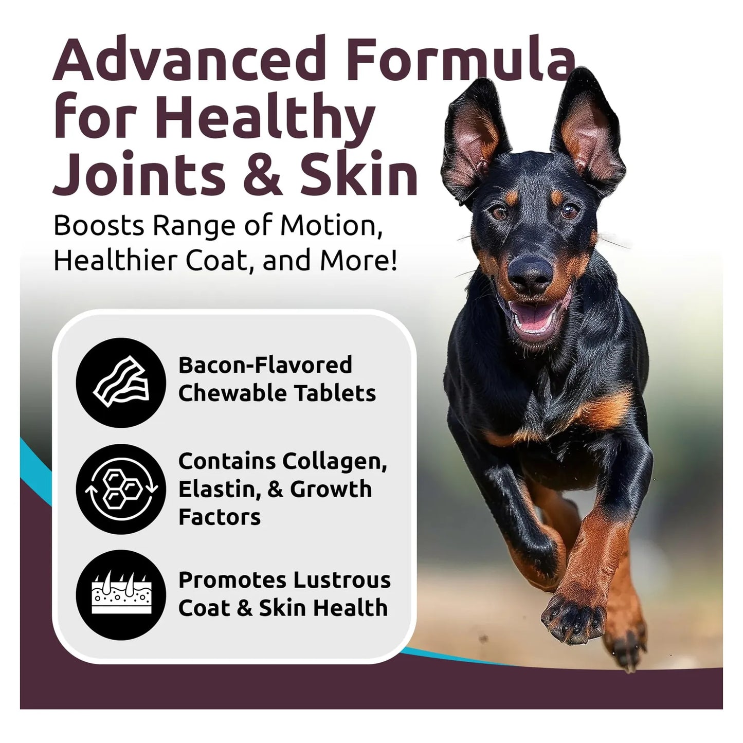 Soporte Articular Biovaplex Para Perros 90 Tabletas Masticables Salud Movilidad