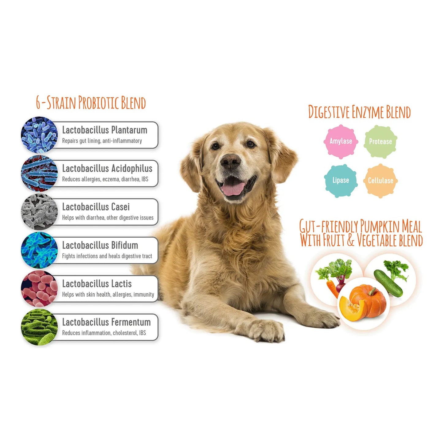 Extend Probióticos Para Perros Salud Digestiva Inmune Alergias Y Piel 15 Mil Millones Ufc